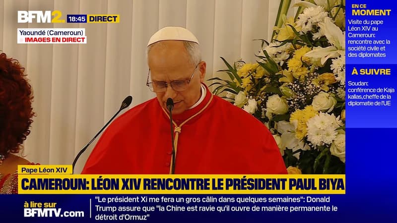 Le pape Léon XIV, en déplacement au Cameroun, appelle au "respect des droits de l'Homme" devant le président Paul Biya