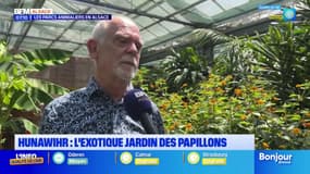 C beau chez nous: découverte de l'exotique Jardin des papillons à Hunawihr