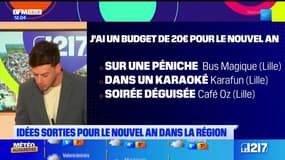 Hauts-de-France: des idées sorties pour le nouvel an dans la région
