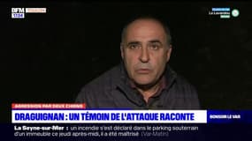 Agression par deux chiens à Draguignan: un témoin de l'attaque raconte