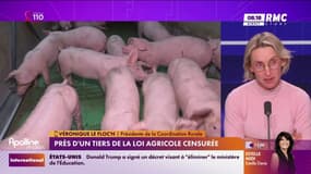Loi agricole censurée: "Soit il y a un référendum, soit on reprend la guerre"