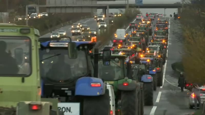 Les agriculteurs convergent vers Paris ce mercredi pour manifester notamment contre les prix bas.