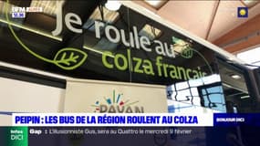 Alpes-de-Haute-Provence: des autocars roulent au colza français