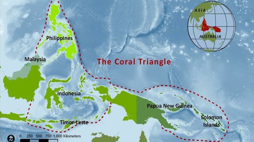 Représentation cartographique du Triangle de Corail, en Asie du Sud-Est.