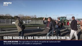 Abattages, Mercosur... De nombreux appels au rassemblement lancés par les syndicats agricoles