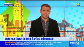 Bonjour Lille du lundi 8 septembre 2025