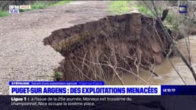 Intempéries: une exploitation agricole menacée à Puget-sur-Argens