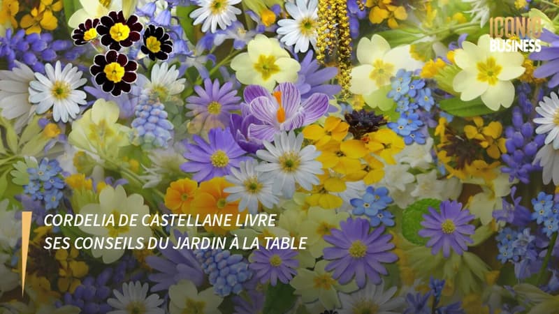 Cordelia de Castellane livre ses conseils du jardin à la table