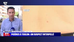 Story 4 : Piqûres à Toulon, un suspect interpellé - 07/06