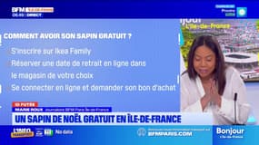 Île-de-France: un bon plan pour obtenir un sapin de Noël