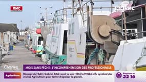 Mois sans pêche : l'incompréhension des professionnels 