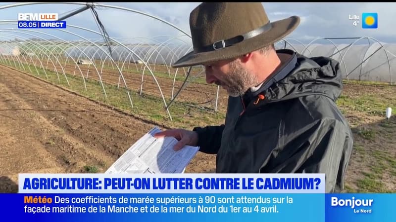 Notre région particulièrement touchée par le cadmium, un métal lourd dangereux pour la santé.