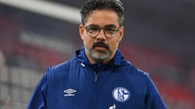 David Wagner 