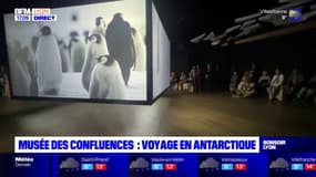 Lyon: voyage en Antarctique au musée des Confluences