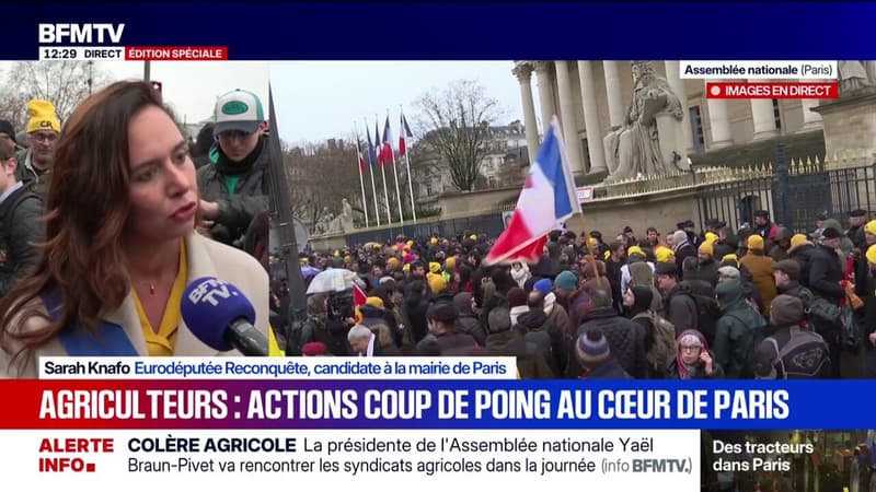 Colère des agriculteurs: "Il est normal que les élus doivent rendre des comptes devant le peuple", estime l'eurodéputée Reconquête Sarah Knafo