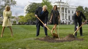 Le chêne offert par la France planté par Donald Trump et Emmanuel Macron dans les jardins de la Maison Blanche, devant leus répouses respectives, le 23 avril 2018 à Washington