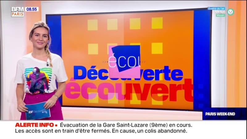 IDF Découverte : expositions & artisanat