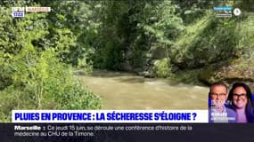 Les récentes intempéries suffisent-elles à endiguer la sécheresse en Provence?