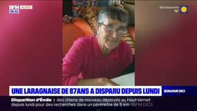Hautes-Alpes: une Laragnaise de 87 ans a disparu depuis lundi