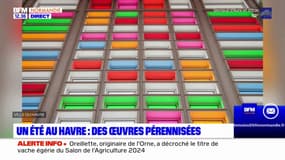 Des œuvres de l'exposition "Un été au Havre" pérénisées