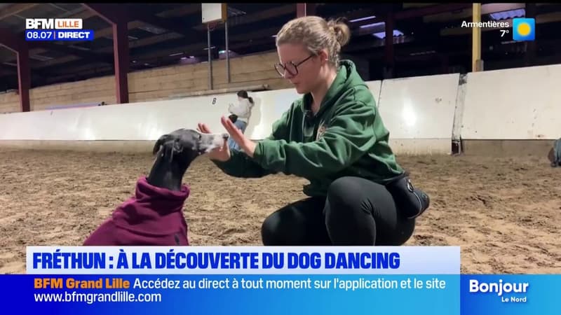 Connaissez-vous le dog dancing ? Cette pratique qui consiste à danser avec son chien,