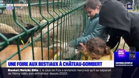 Château-Gombert: la foire aux bestiaux fête ses 30 ans