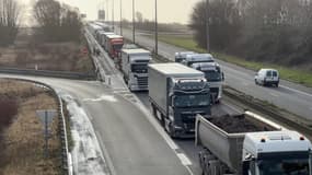 Des camions circulant sur l'A16 vers le tunnel sous la Manche et Angleterre, le 24 janvier 2024 à Marck (Pas-de-Calais)