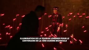 La Tour de Londres "enflammée" pour le centenaire de 14-18