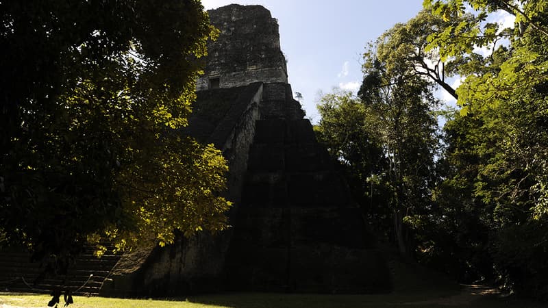 Temple maya sur le site archéologique de Tikal, au Guatemala.