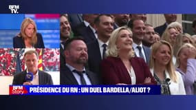Story 6 : Louis Aliot annonce sa candidature à la tête du Rassemblement national - 28/07