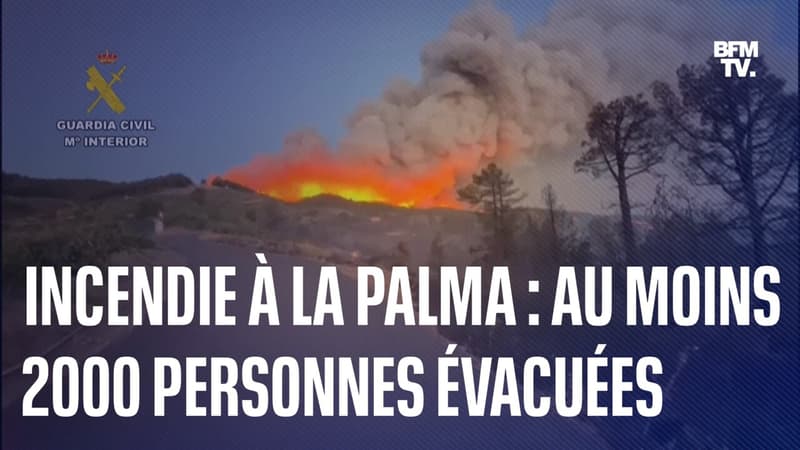 Espagne: un incendie de forêt à La Palma entraîne l'évacuation d'au moins 2000 personnes