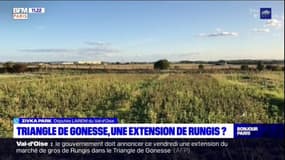 Val-d'Oise: la députée Zivka Park est favorable à "un projet agricole autour du territoire de Gonesse"