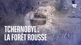 LIGNE ROUGE - Comment les soldats russes se sont exposés aux radiations à Tchernobyl