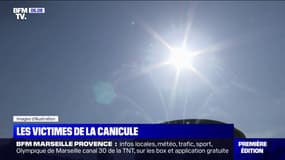 Canicule: 2022, l'été d'ores et déjà de tous les records