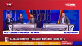  Fin de la chasse : "D'habitude, les politiques se mettent à genoux devant les chasseurs !"