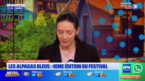 L'invité de Bonjour Alsace du vendredi 23 janvier 2026 - Stéphane Leyenberger