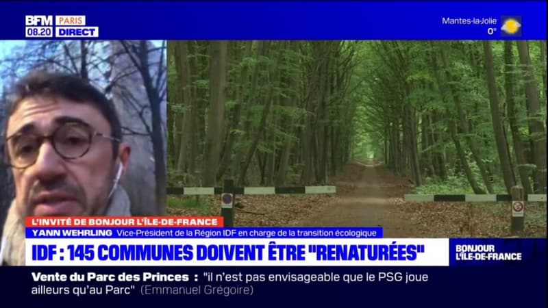 Ile-de-France: 145 communes identifiées comme prioritaires pour des actions de "renaturation"