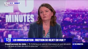 Projet de loi immigration: "On va démontrer qu'il n'y a pas de majorité pour ce texte", affirme Eva Sas (EELV)