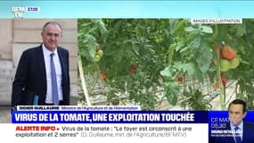 "Aucune tomate ne sort" de l'exploitation contaminée dans le Finistère selon Didier Guillaume