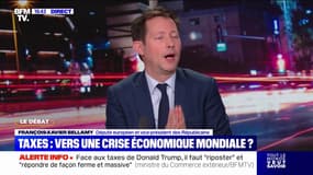 Taxes douanières: "Il faut riposter avec fermeté pour obliger les États-Unis à reconsidérer leur décision", estime François-Xavier Bellamy (LR)