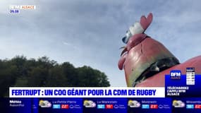 Fertrupt: un coq géant pour la coupe du monde de rugby