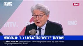 Mercosur: "Le volet industriel est très positif mais le volet agricole n'est pas satisfaisant", juge Thierry Breton, ancien ministre de l'Économie