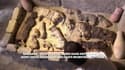 Découverte rare de chats momifiés en Egypte
