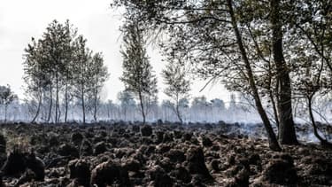 Le parc naturel de Deurnese Peel aux Pays-Bas, le 23 juin 2017