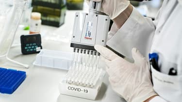 Etude et analyse d'échantillons positifs au Covid-19 pour le variant britannique, le 15 janvier 2021 à Aalborg, au Danemark
