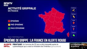 Épidémie de grippe en France: tout le territoire placé en alerte rouge