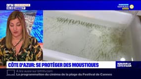 Côte d'Azur: des conseils pour se protéger des moustiques