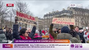 Les Français dans la rue contre la loi immigration