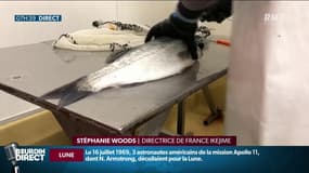 Moins de souffrances pour le poisson, une meilleure qualité...la technique de pêche de l’Ikejime séduit en France
