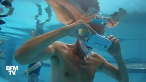 Pays-Bas: ils nagent avec des dauphins virtuels et se sentent mieux